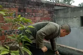 看我用什么方法给鱼池换水，而且不浪费水，一举两得视频封面