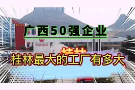 不要再说桂林没有工业了桂林最大的工厂大的让你怀疑人生！视频封面