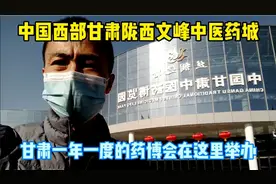 甘肃省一年一度的中药材药博会在这里举办，甘肃陇西文峰中药材城视频封面
