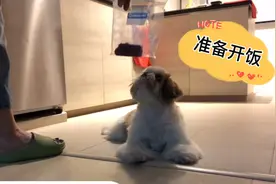 想吃一顿安心饭真不容易呀，来看看小红米的碎碎念抱怨吧