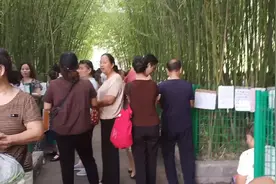 郑州有个相亲角，每到周六人山人海非常热闹。小伙带你去看看！视频封面