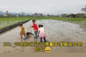 春耕插秧，3个小顽皮在田里玩泥巴，80后的童年回忆00后也喜欢视频封面