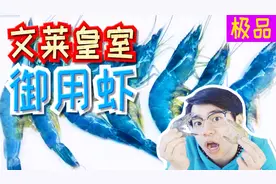 试吃文莱皇室御用蓝虾是种什么味道？蓝色的虾真的没毒吗？视频封面