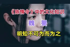 魏婴：明知不可为而为之视频封面