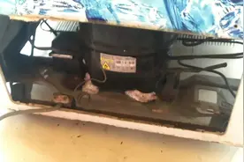 冷藏柜压缩机叮啷咣啷响是卡缸吗，要修好它你得会电焊视频封面