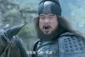 张飞要与曹军决一死战，没想到他的一声吼就把曹军吓怕了，厉害！视频封面