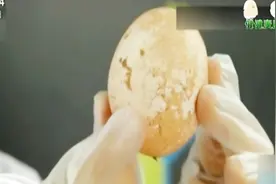 吃不干净鸡蛋会中毒，清洗鸡蛋则会导致变质，这些常识你知道吗？视频封面