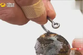 黑漂四五秒后提竿却不中鱼？那是你螺蛳挂错了，瞧瞧大师是怎么挂视频封面