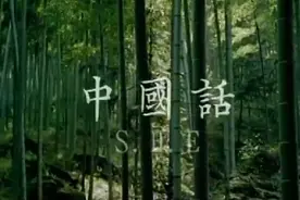 SHE中国话视频封面