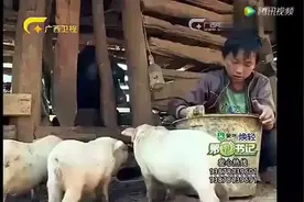 第一书记，吃苦耐劳的杨六斤视频封面