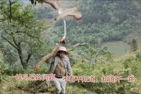 鸟拉屎粘人身上会走霉运吗？这哥中过三次，听这哥说完全明白了！视频封面