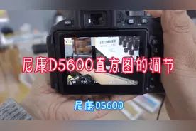 第107集：尼康D5600拍摄预览和直方图如何调节运用