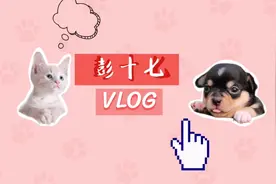 【干货】大学生开学返校买机票怎么买最便宜？快来看看吧！视频封面