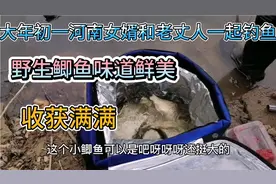 河南女婿和老丈人一起钓鱼，没想到收获满满的野生鲫鱼太惊喜视频封面