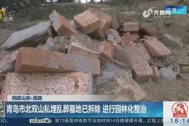 《问政山东》追踪！青岛双山私埋乱葬墓地已拆除，进行园林化整治视频封面