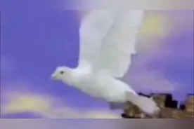 满屏回忆！“东方时空晨曲”，那回不去的曾经！视频封面
