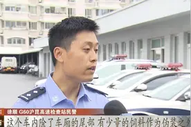 上海一重型货车运送猪饲料？民警较真司机慌慌张张，结果真露马脚视频封面
