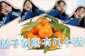 我正准备去拿个橘子吃，却突然沉思，你知道橘子有几个瓣吗？视频封面