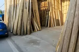 给图书馆做一批书架，坚持做老式的实木书架，下山选购适合的木材视频封面