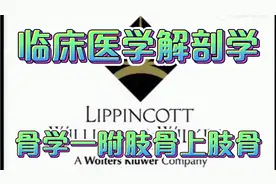 人体解剖学全套教程（骨学一附肢骨上肢骨）