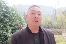 蜜蜂无缘无故的逃跑，到底是什么因素造成，有4点请细看视频封面
