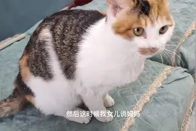 猫会咬熟睡的孩子吗？视频封面