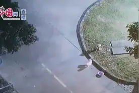太残忍！深夜狗狗被主人用棍棒活活打死！主人：只是想教训一下视频封面