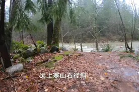 古诗词歌曲《山行》词：唐·杜牧--霜叶红于二月花视频封面