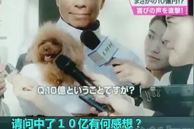 买彩票中了10亿有什么感想  你能想得到吗视频封面