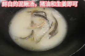 泥鳅治癌之王，制作泥鳅汤，简单易学，你可以拥有