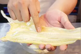 粤菜师傅分享佛跳墙-花胶鱼唇发制，发制海味一定要谨记这几点视频封面