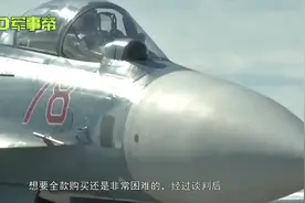 向“汪星人”致敬！18万条狗换来苏27，中国空军飞跃20年