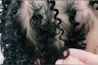 别碰我头发视频封面