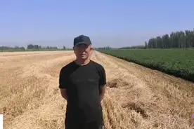 增产增收就用保美乐！