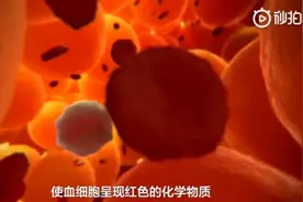 BBC纪录片，伤口愈合全过程。视频封面