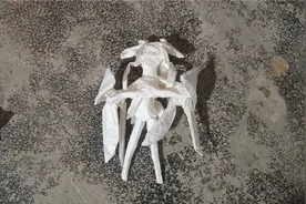 折纸教程，一张纸不剪不裁折一个王者荣耀里的嫦娥，第十五部分视频封面