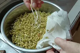 生豆芽，只须一步，豆芽长的胖，无须根，无添加视频封面