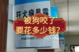被狗咬伤等级划分
及去医院处理所需费用视频封面