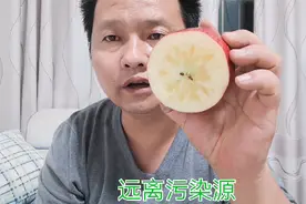 李子园的丑苹果，丑得有内涵，什么样的内涵，瞅瞅视频封面