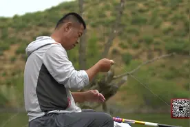 水底螃蟹闹窝厉害，试试用这个方法！视频封面