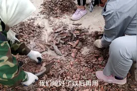 松树皮用来养花别提多好了，你看这得薅了多少松树啊！视频封面
