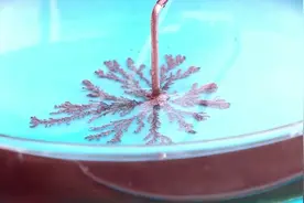 上学要是早听了这个版本的《青花瓷（化学版）》，分数肯定低不了视频封面