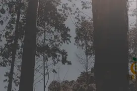 新老水浒宋江题反诗，李雪健老师和张涵予老师哪一个更合你的意呢视频封面