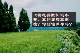 《梅花易数》这本书，真的能够算得准？你相信算命吗？