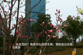 县级城区，超过两百米的建筑还是很少，发达地区才会有。视频封面