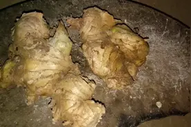 风姜的作用你们知道吗？在我们这风姜是坐月子的时候用的。视频封面