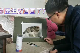 宠物医生教你:如何解救被困在二维空间里的猫？视频封面