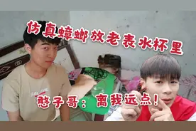 网购仿真蟑螂坑老表，偷偷把蟑螂放他水杯里，憨子哥：你又坑我！视频封面