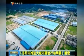 《岳阳市推进大城市建设行动纲要》解读视频封面