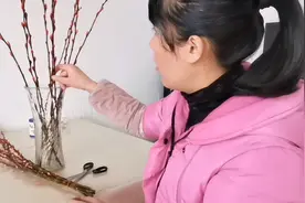 家里装修简陋，买了一把银柳放客厅，效果可见一斑视频封面